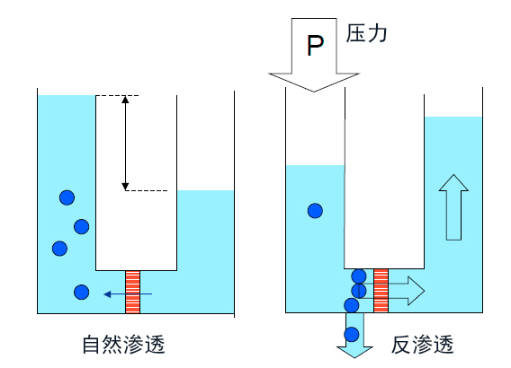 1724204704102480.jpg 圖片2.jpg